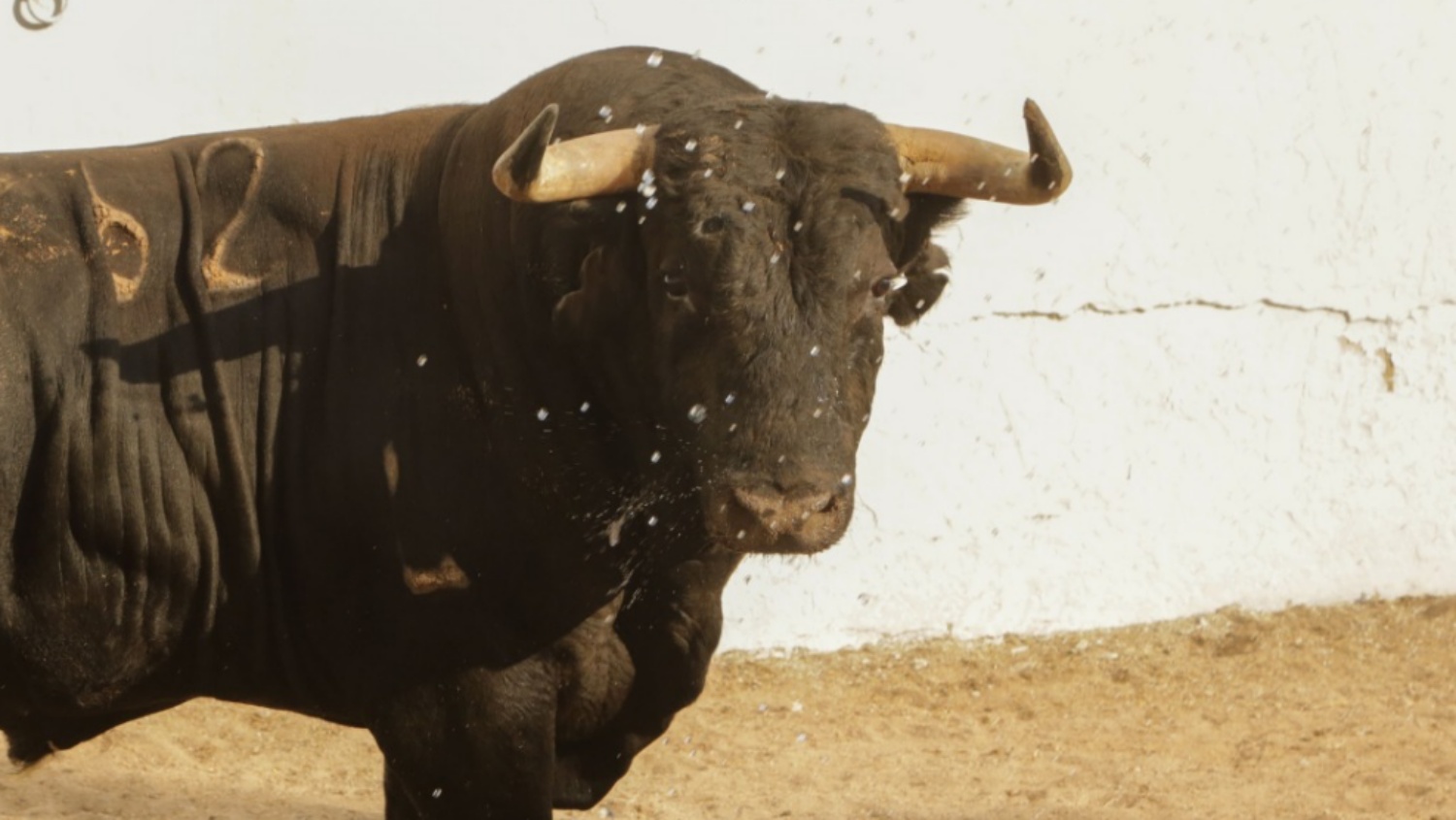 Noticias castilla-la mancha sucesos