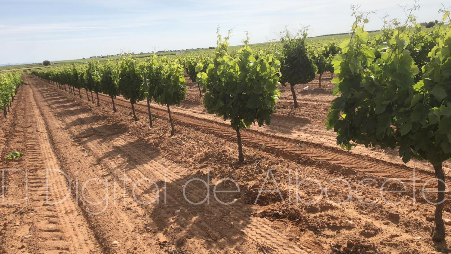 Noticias Albacete