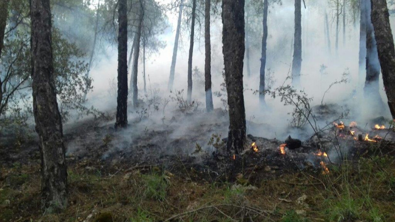 Noticias provincia albacete incendio