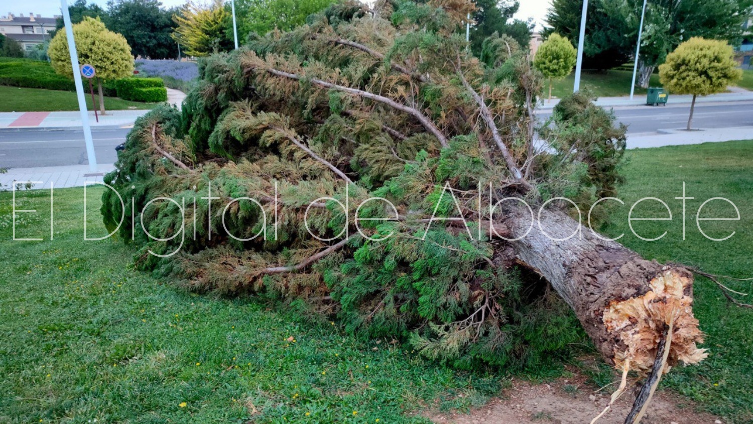 Noticias Albacete