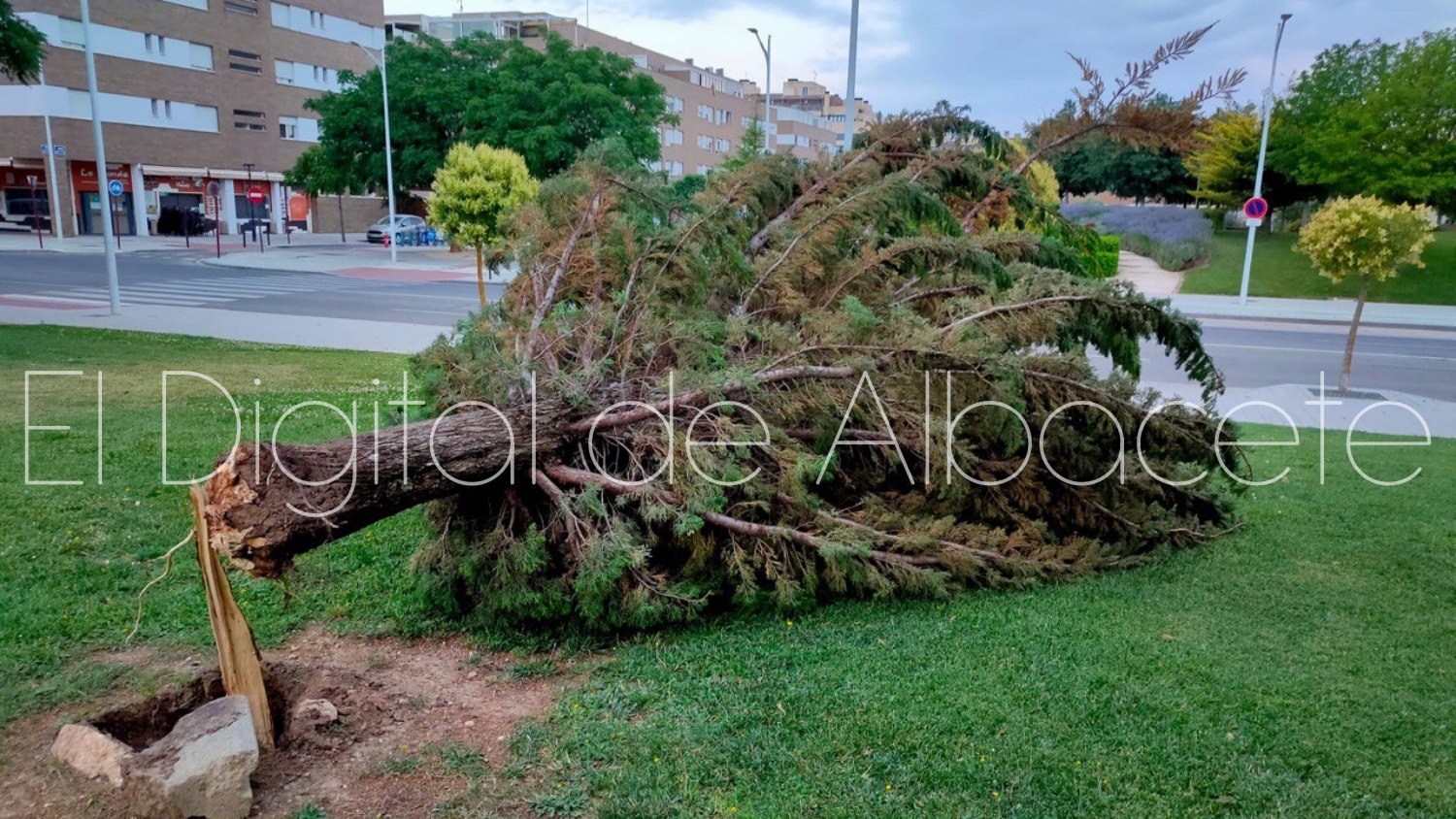 Noticias Albacete