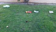 Noticias albacete