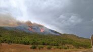 Noticias provincia Albacete