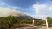incendio ayna