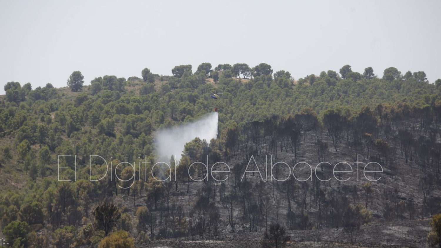 incendio forestal ferez albacete