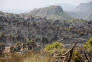 incendio forestal ferez albacete