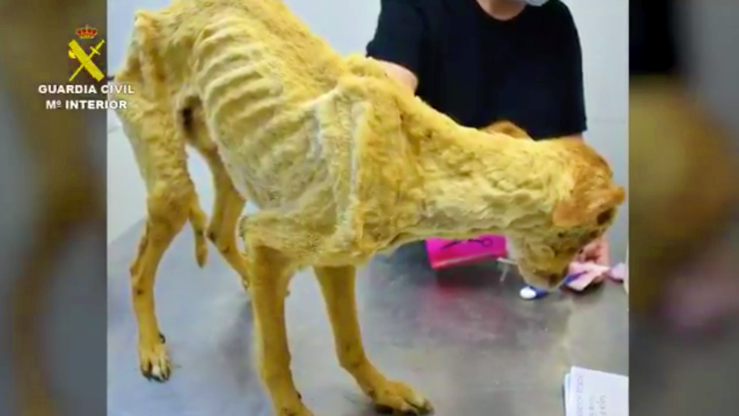 Noticias Castilla-la mancha