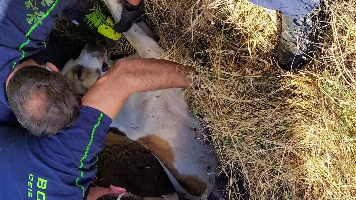 Noticias castilla-la mancha