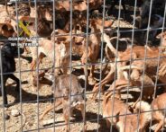 Noticias Castilla-La mancha