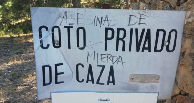 noticias provincia albacete