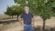 noticias albacete