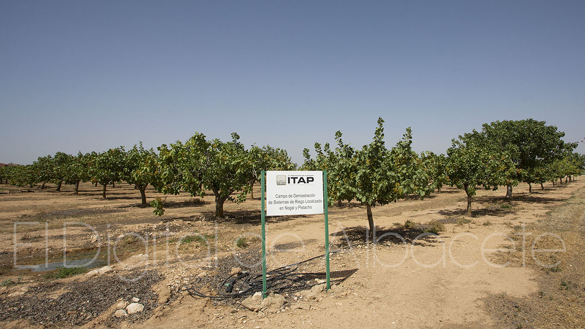 noticias albacete itap