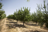 noticias albacete