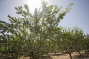noticias albacete