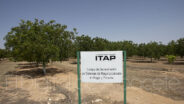 noticias albacete