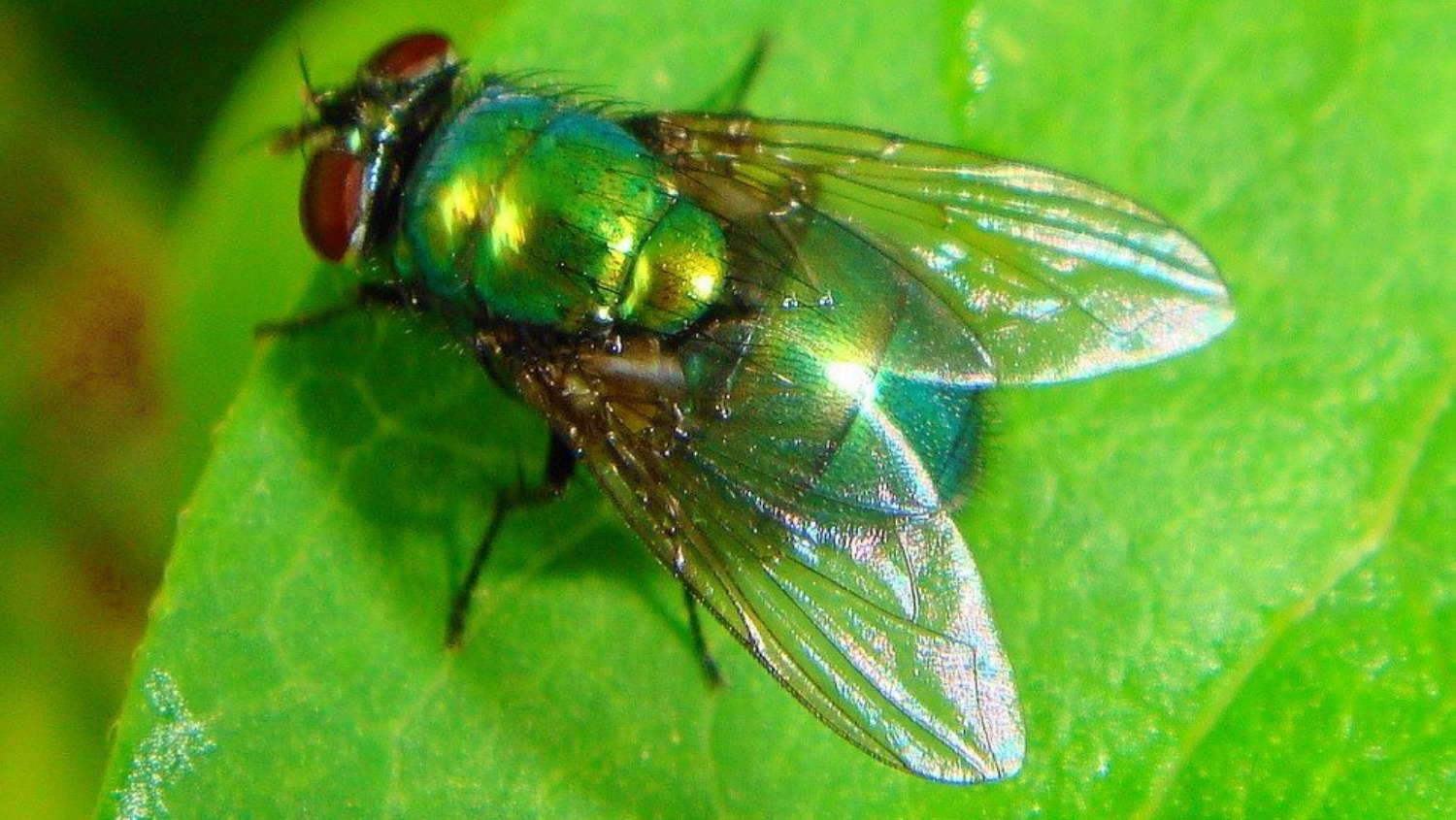 noticias castilla-la mancha