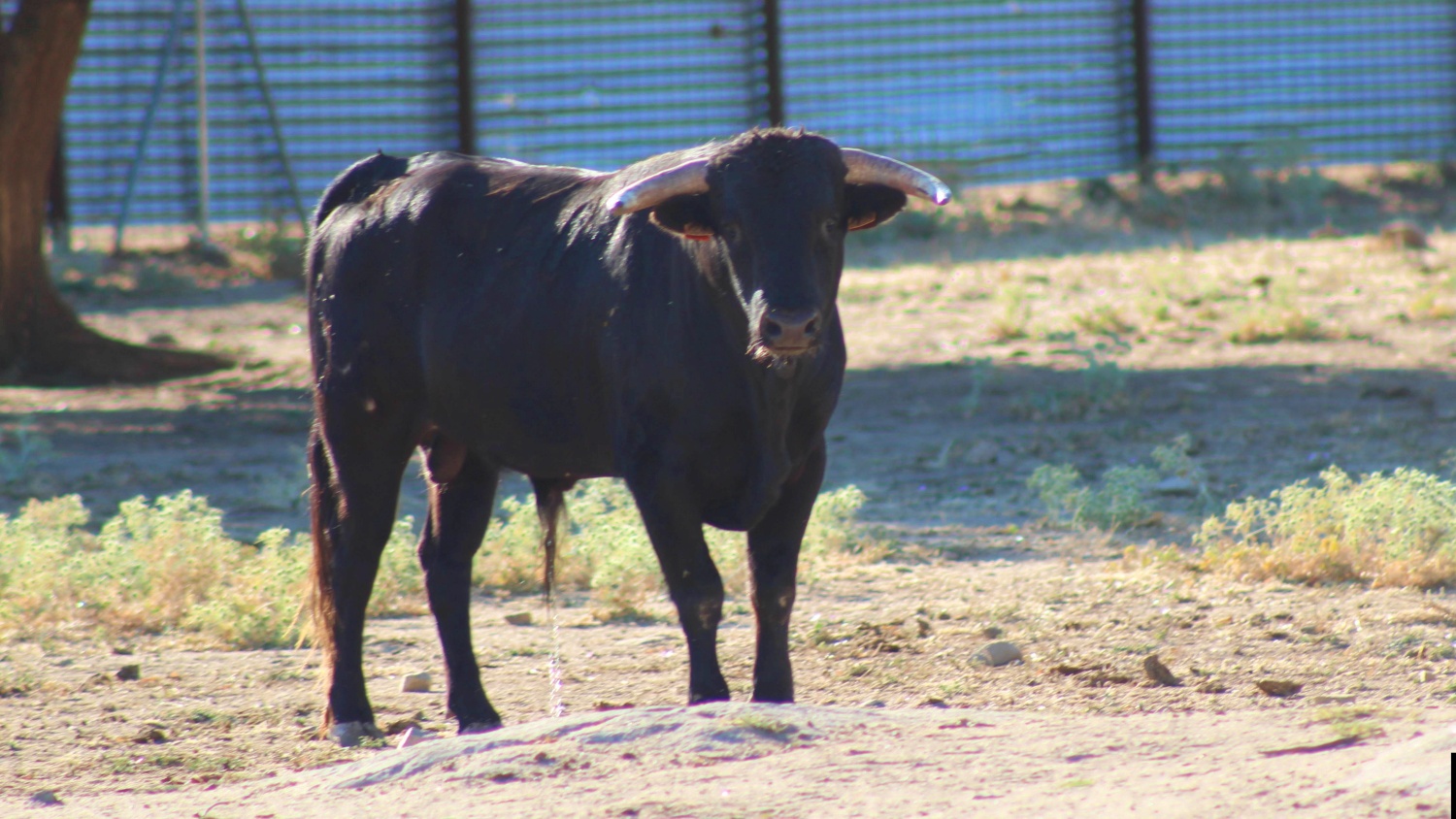 Noticias castilla-la mancha