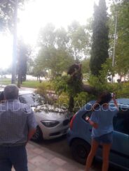 noticias albacete
