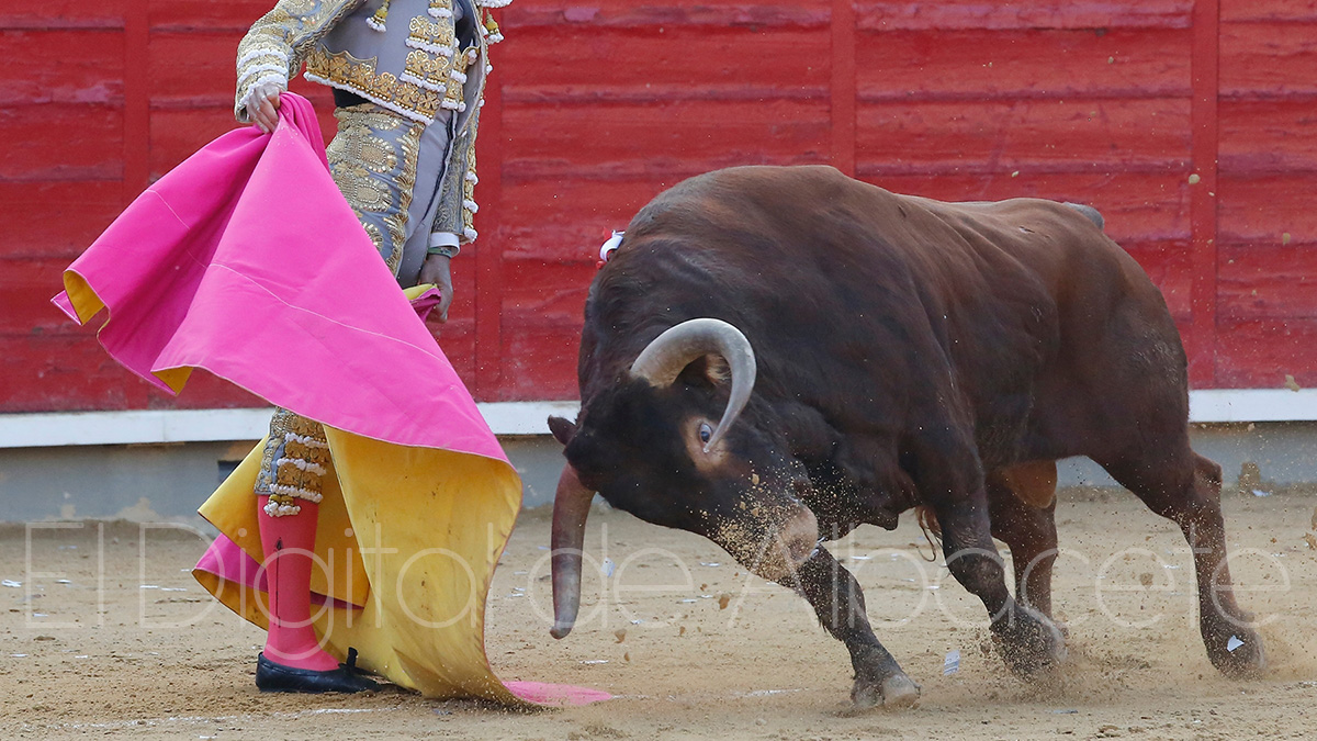 noticias albacete