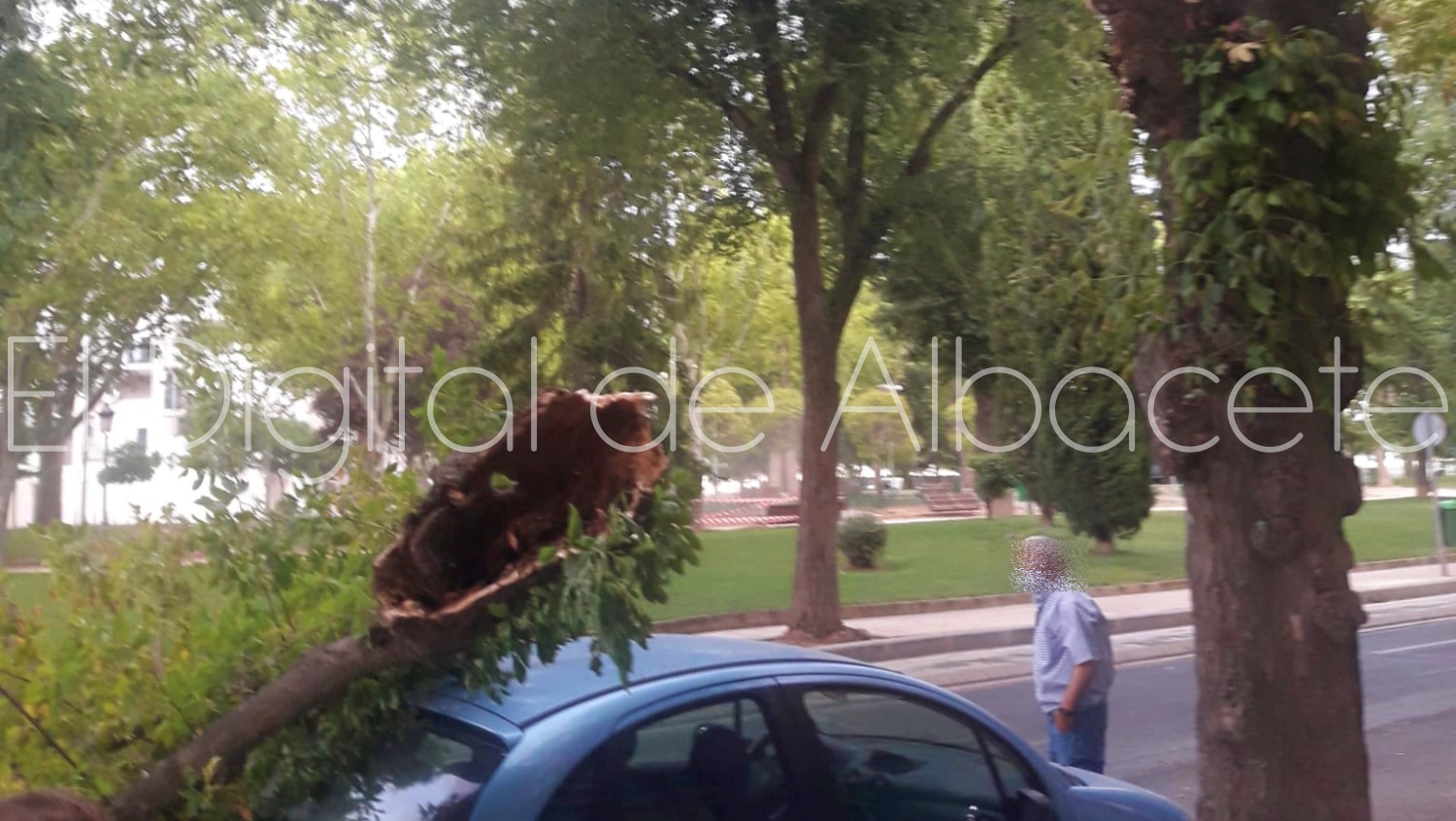 noticias albacete