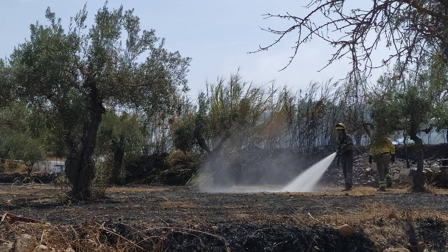 Noticias Almansa