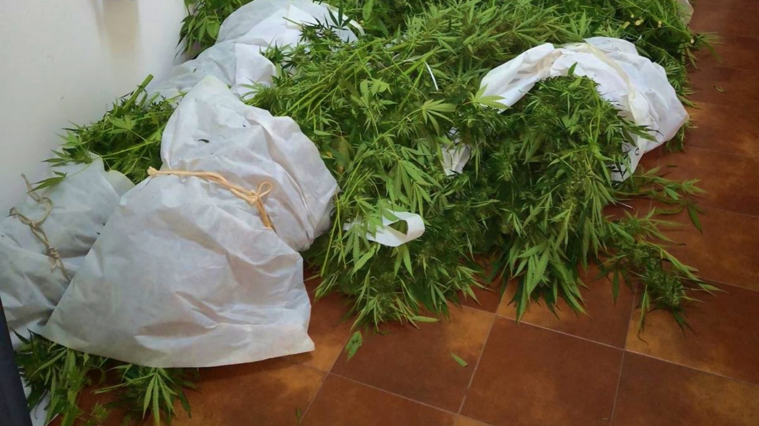 noticias Castilla-la mancha