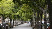 Noticias Albacete