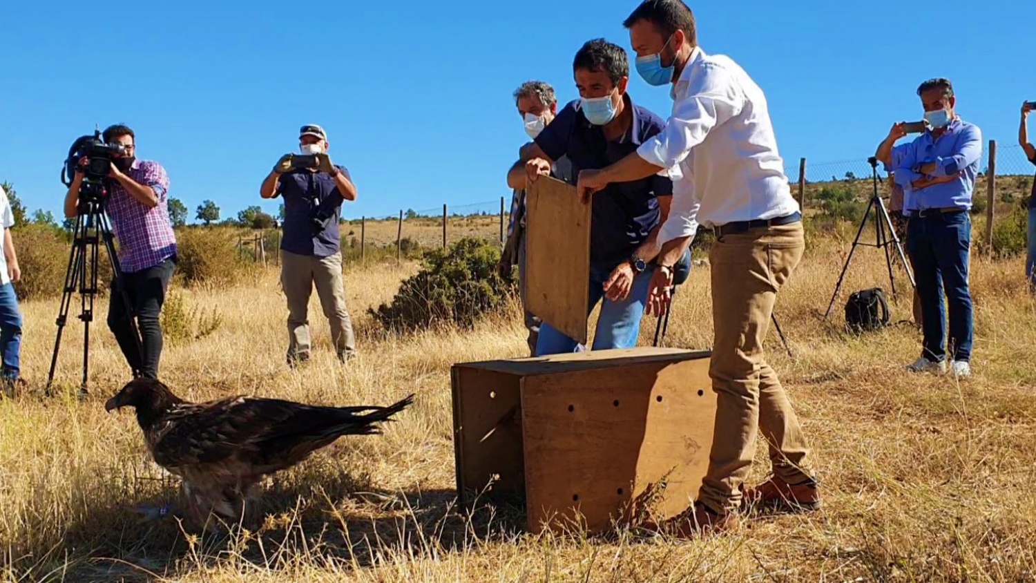 noticias castilla-la mancha