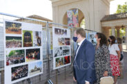 Noticias feria albacete 2020