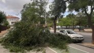 noticias Albacete