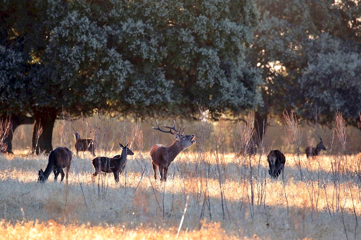 noticias castilla la mancha