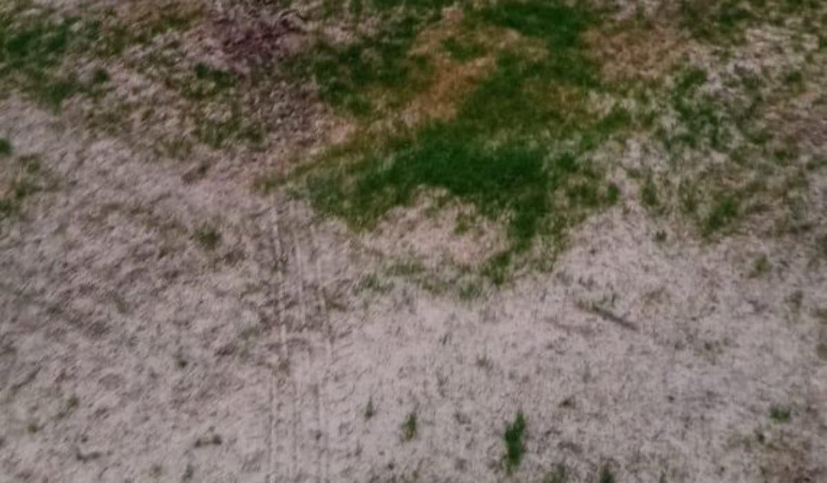 noticias albacete balompie