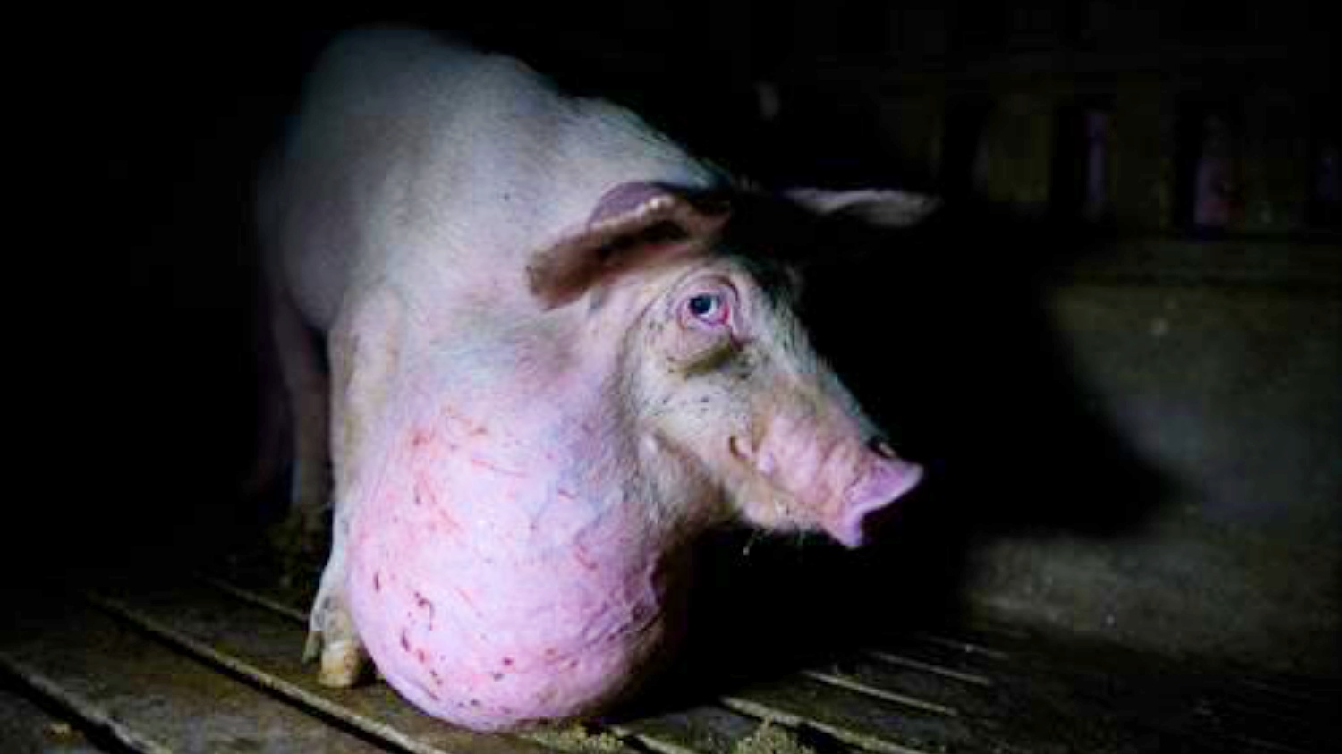 noticias Castilla-la mancha