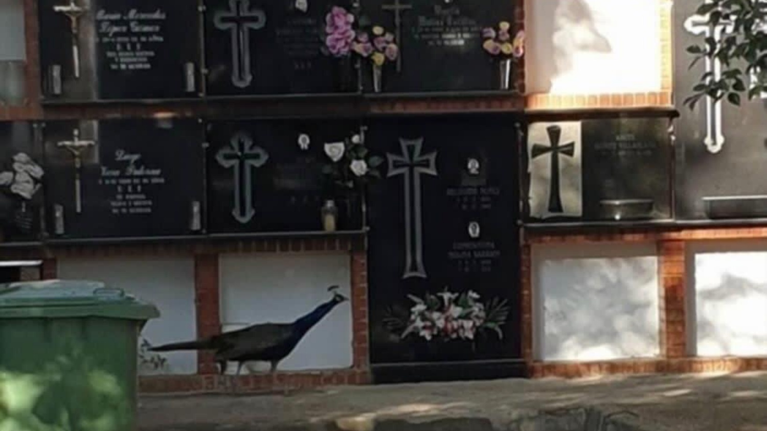 Noticias provincia Albacete