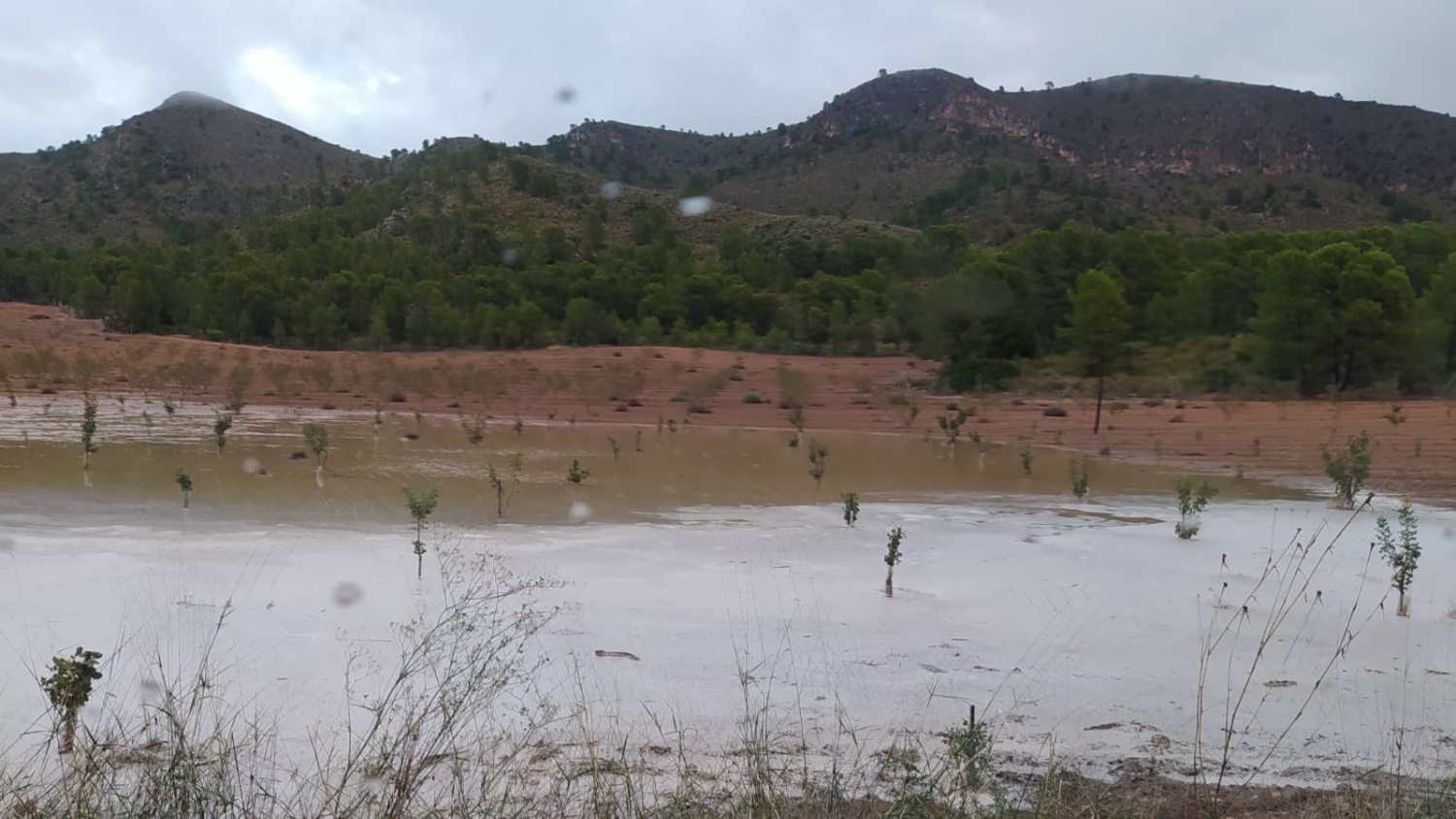 Noticias provincia Albacete