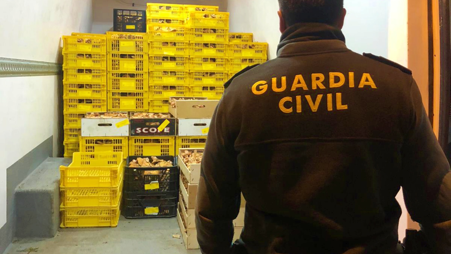 noticias castilla-la mancha