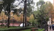 Noticias Albacete