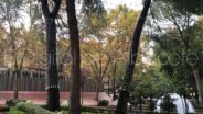 Noticias Albacete
