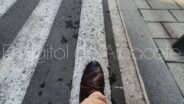 Noticias Albacete
