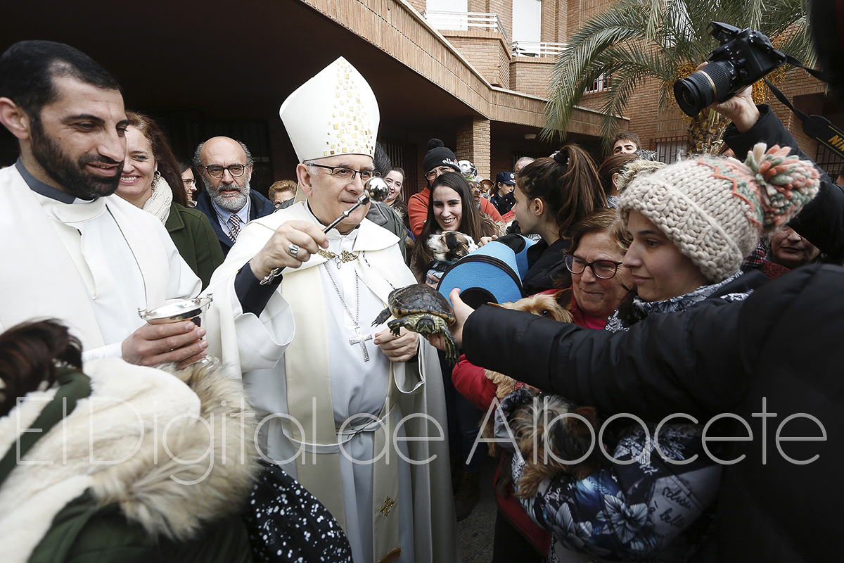 noticias albacete