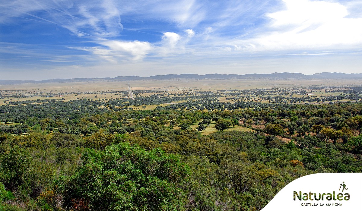 noticias castilla la mancha