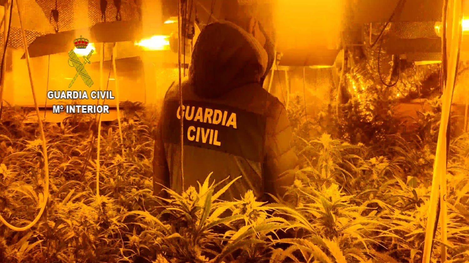 Noticias castilla-la mancha