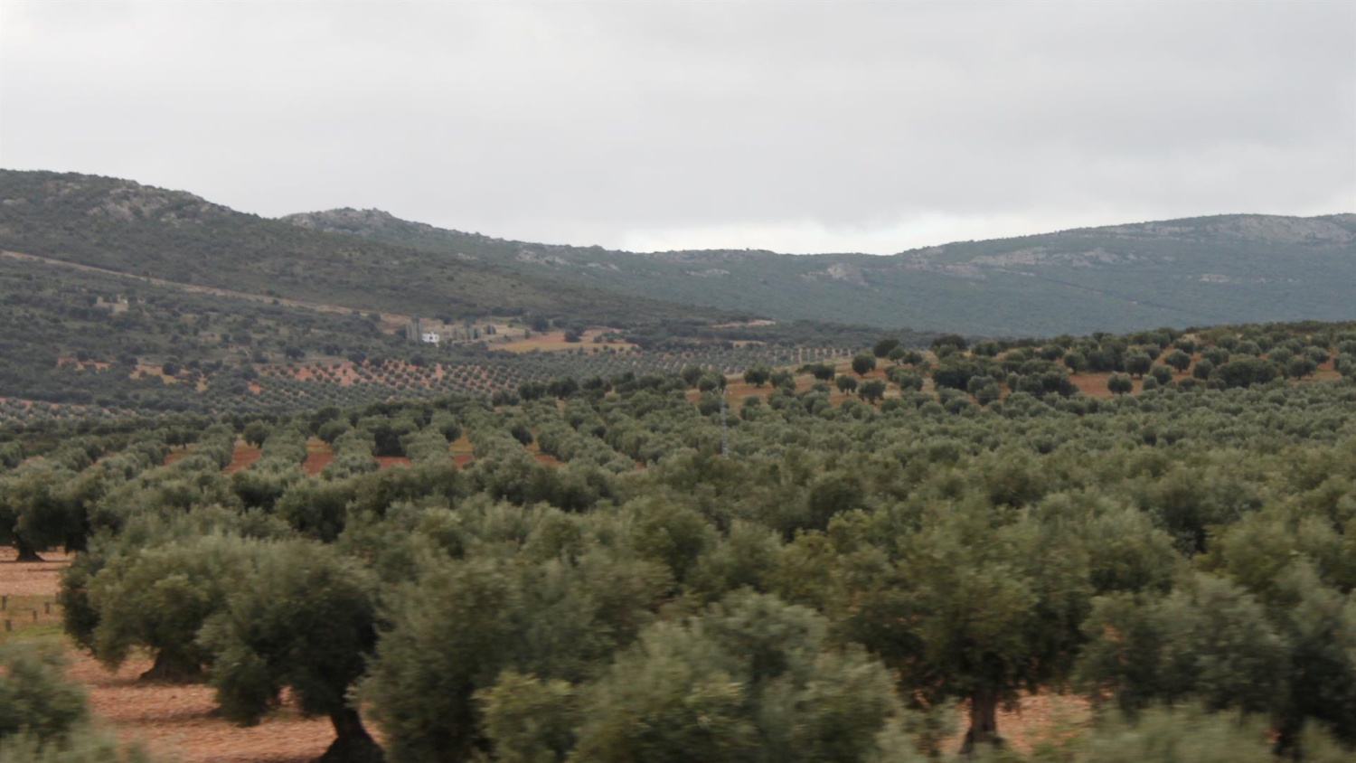 noticias castilla-la mancha