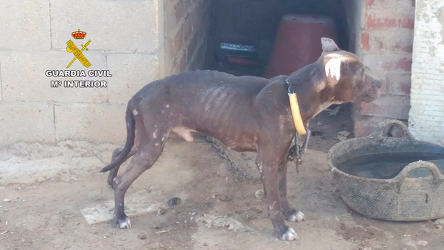 noticias sucesos castilla-la mancha