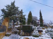 noticias provincia albacete