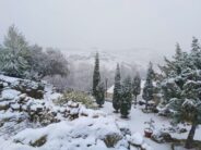 noticias provincia albacete