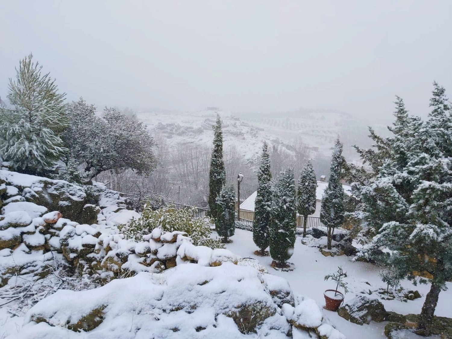 noticias provincia albacete