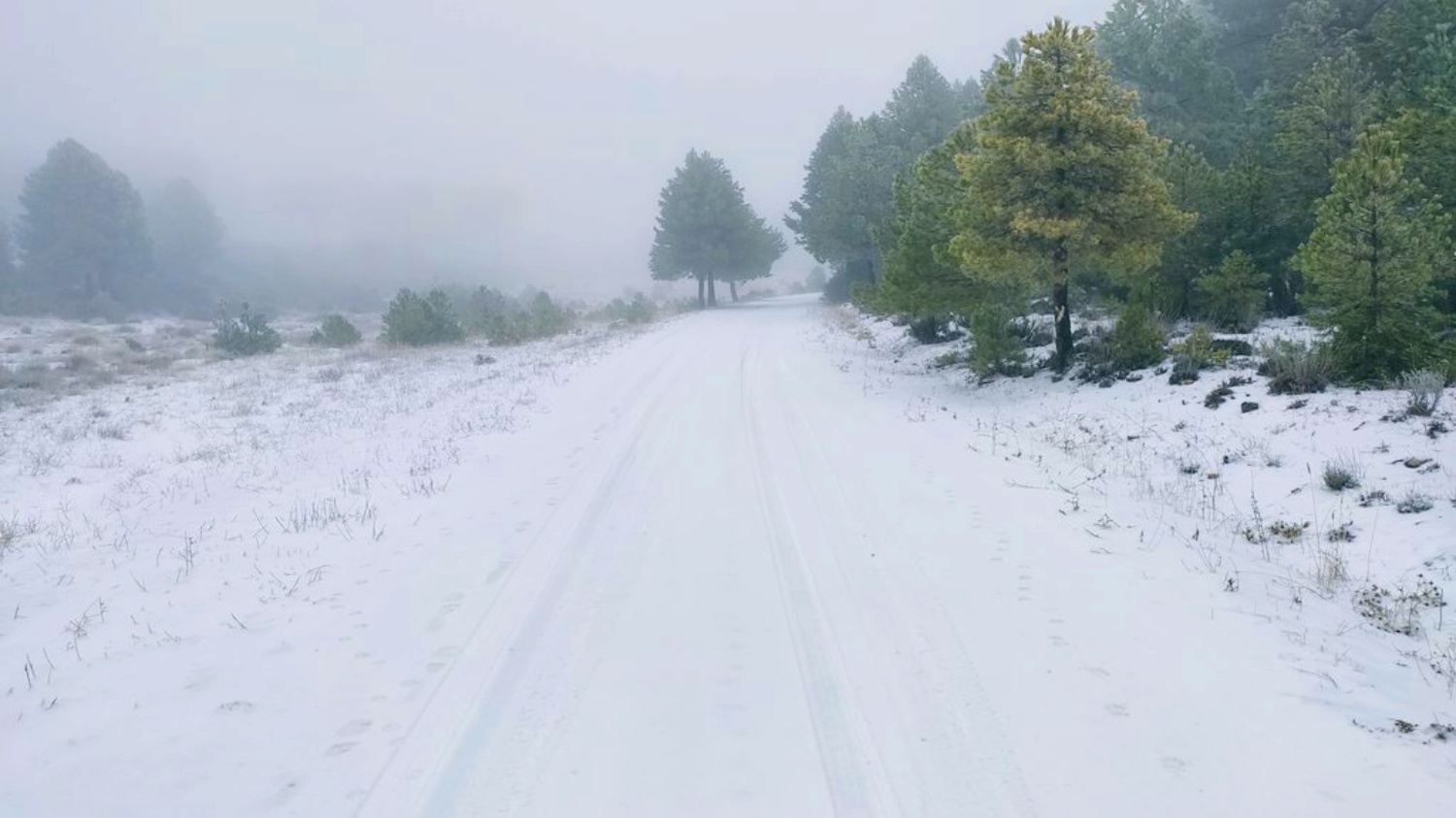 noticias provincia albacete