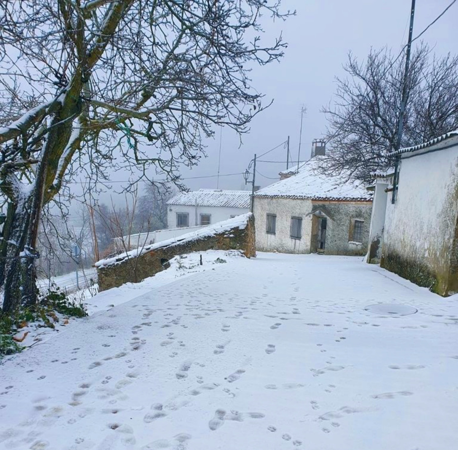 noticias provincia albacete