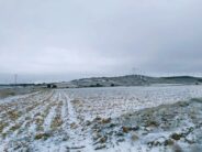 noticias provincia albacete